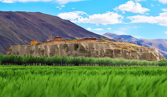 Tombs of Tibetan Kings of Tubo Kingdom