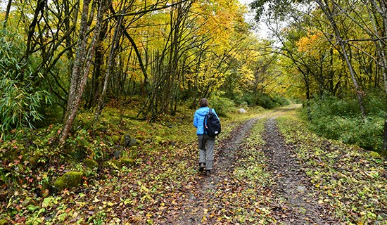 Naturschutzgebiete