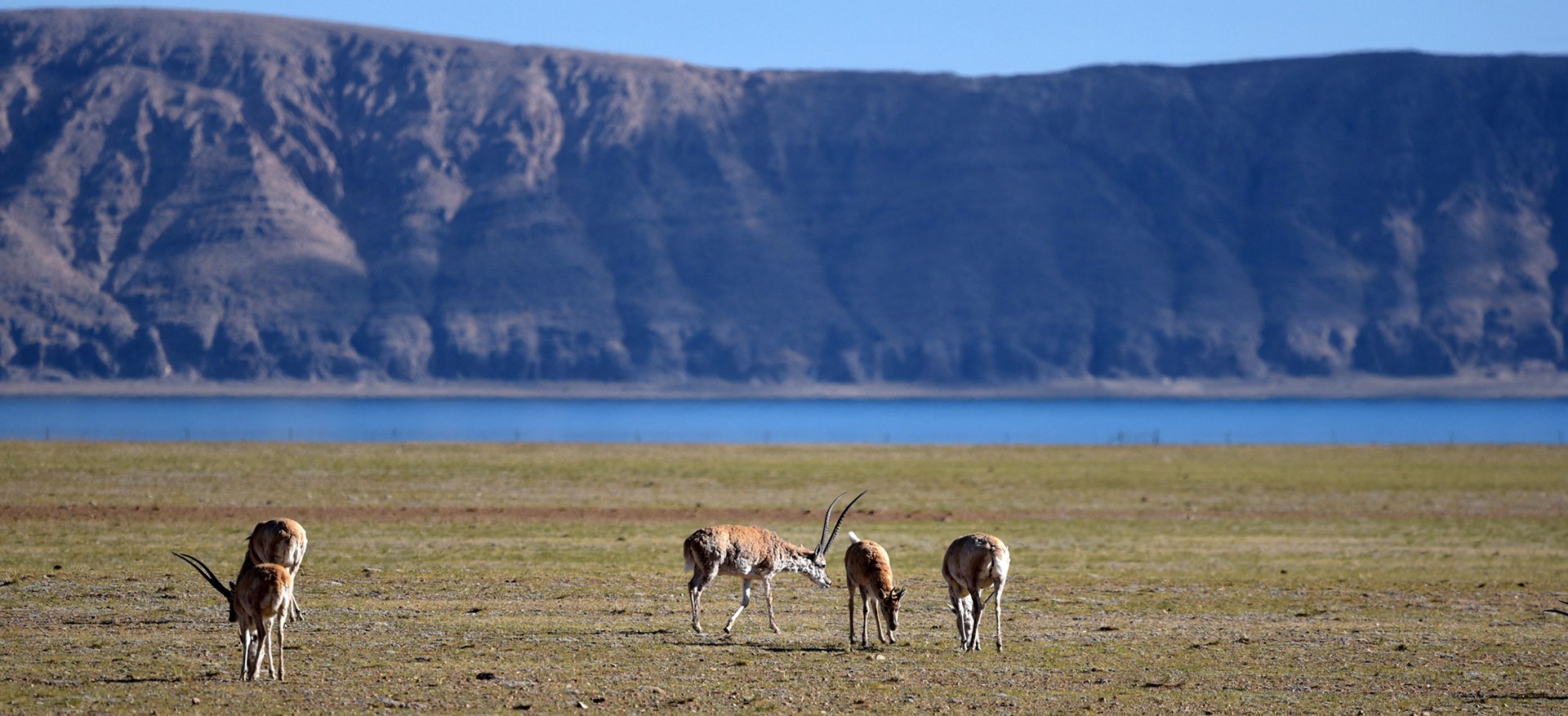 Viaje de aventura por el norte del Tíbet de Qiangtang a Kailash