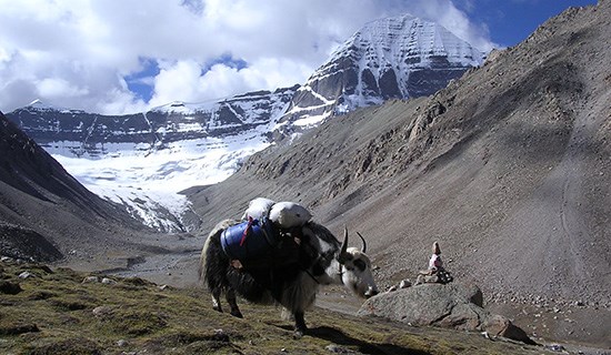 Tibet Trekking around Kailash with Everest and Tsada