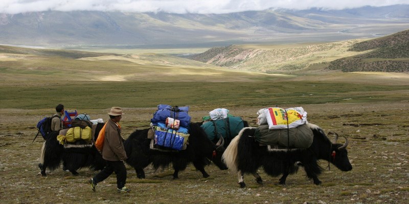 Trekking to Samye