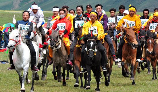 Discovery Tour during Yushu Horse Racing Festival 2020