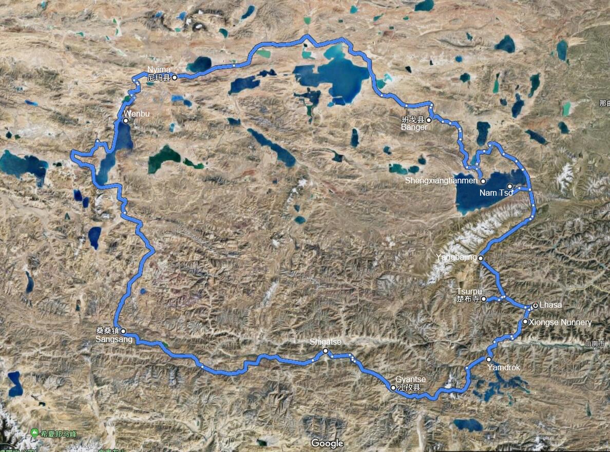 Observación de Aves y Viajes de Vida Silvestre en el Norte de Tíbet Qiangtang