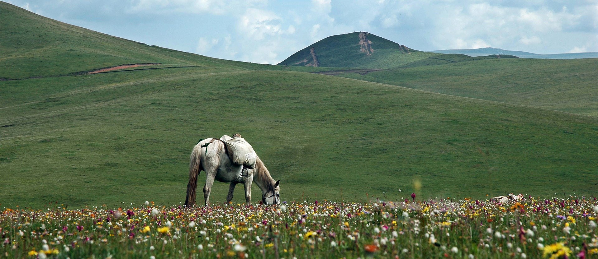 Viaje a Caballo en Tibetan Áreas Kham-Amdo