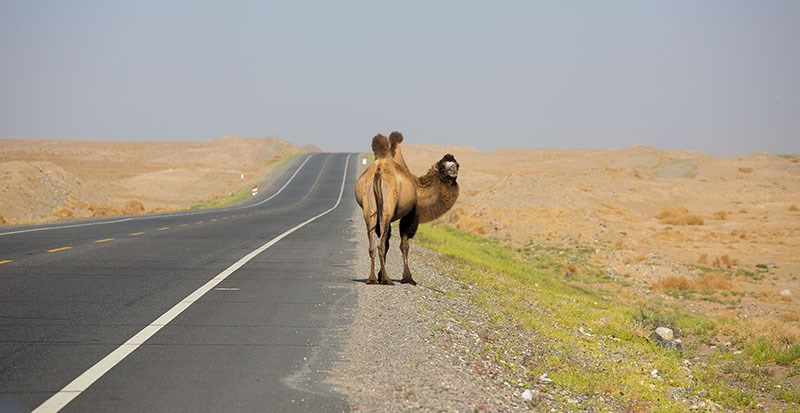 South Xinjiang