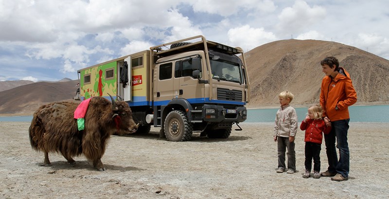 Yak and Tourists