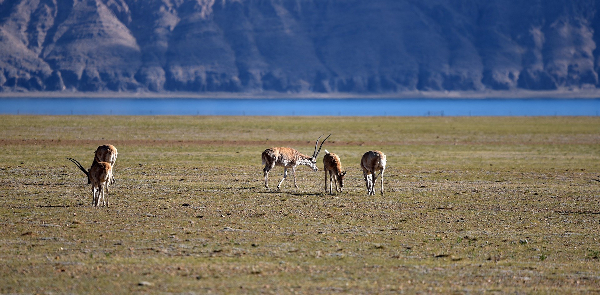 Self Drive Tour to Northern Tibet and Kailash