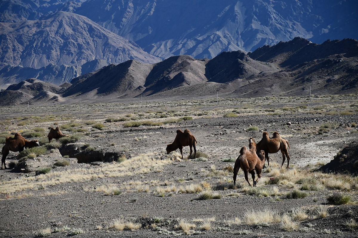 Tianshan Landscape | Foto de Liu Bin