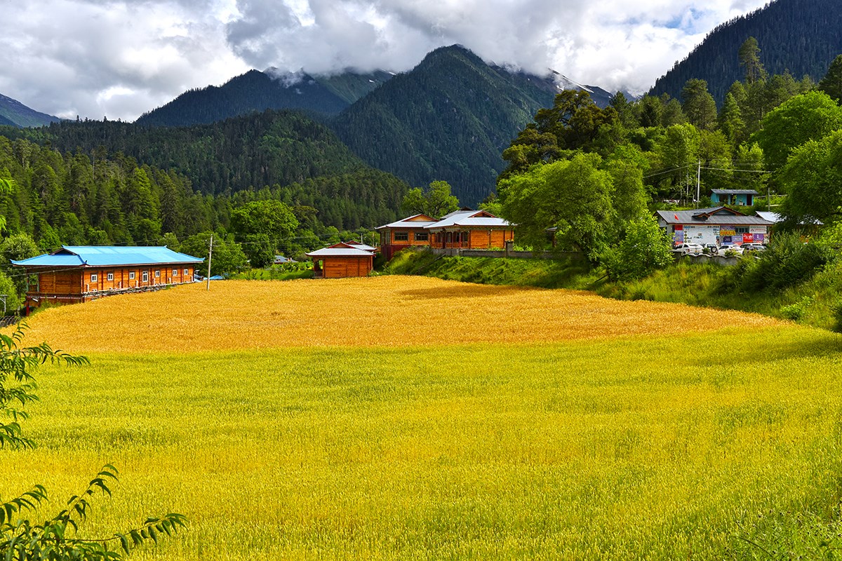Landscape of Bome | Foto de Liu Bin