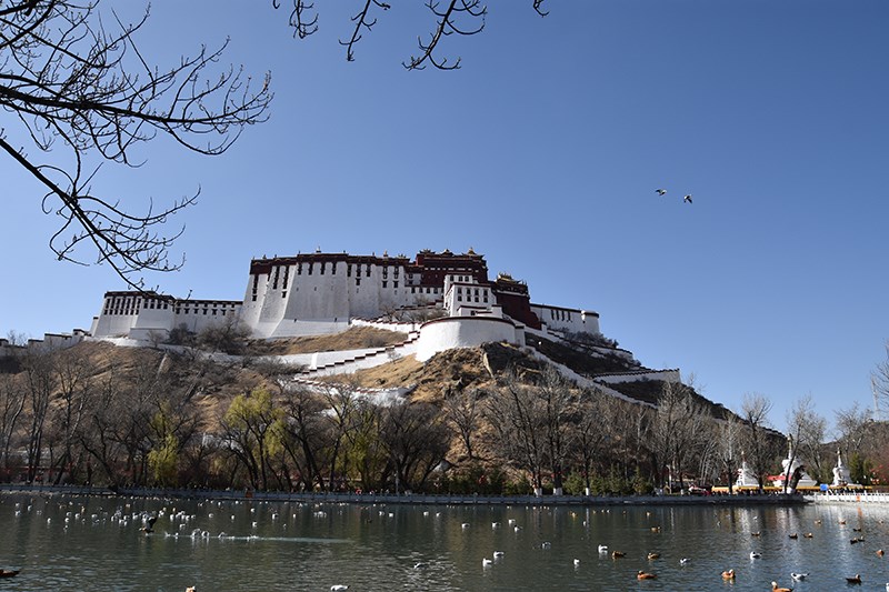 Dragon King Pool and Potala Palace