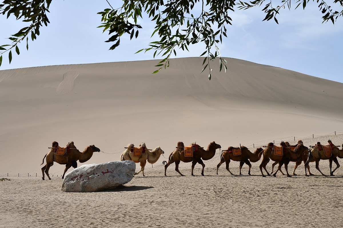 Singing Sand Dunes in Dunhuang | Foto de Liu Bin