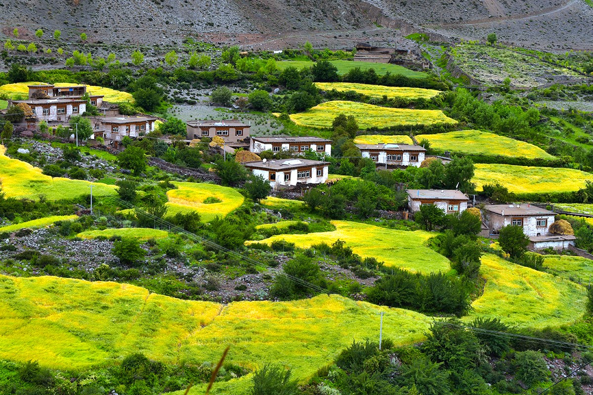 Landscape of Baxoi | Foto de Liu Bin