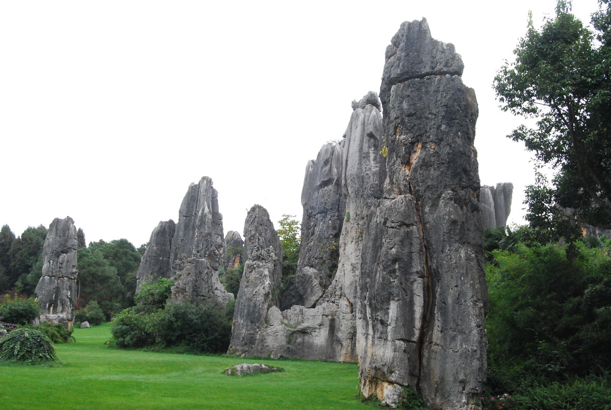 Stone Forest 