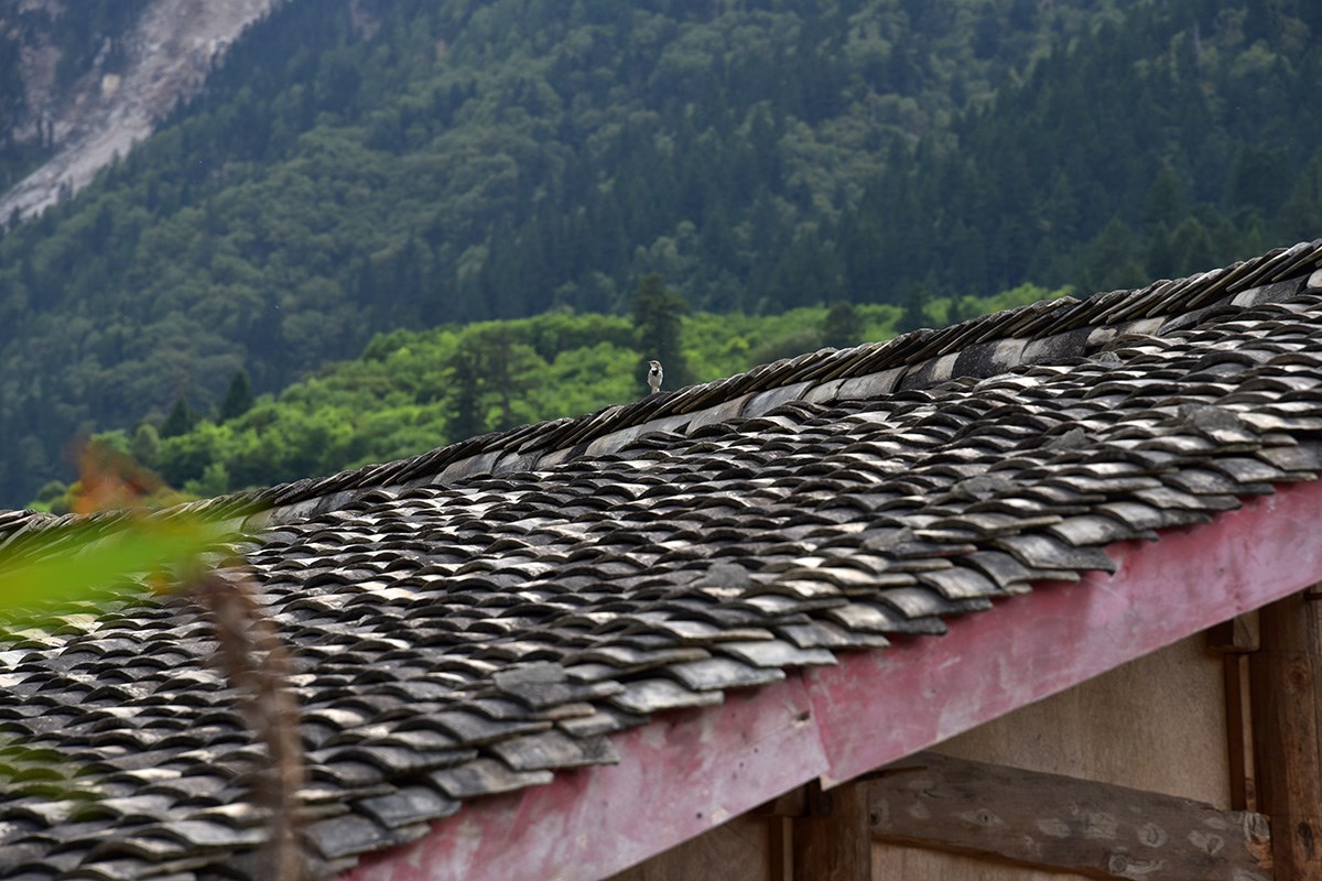 Tibetan Haus | Foto de Liu Bin