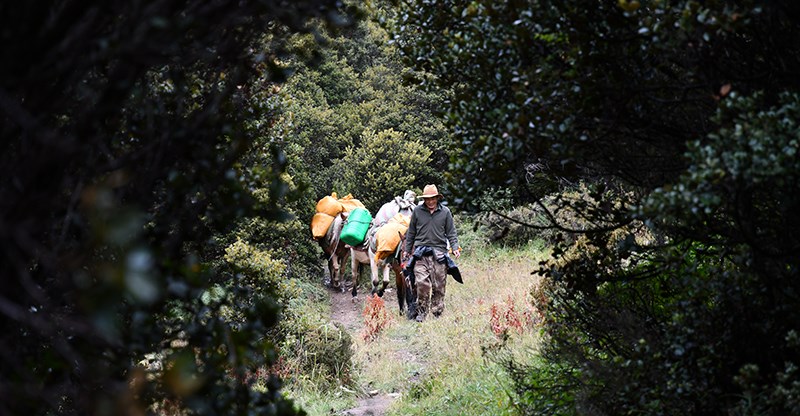 Trekking at Gongga Mountain