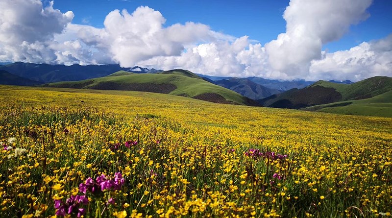 Trekking at Genyen Mountain